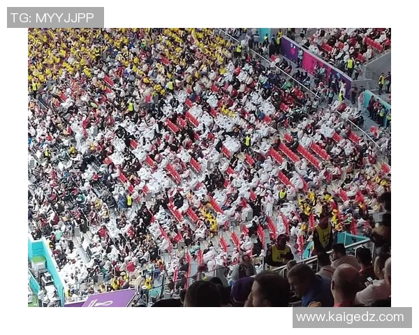 足球世界杯观众观赛体验及未来趋势